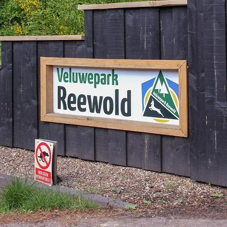 Reewold פוטן